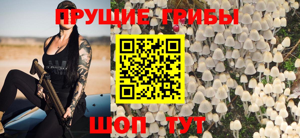 Сергиев Посад  Псилоцибиновые грибы MAGIC MUSHROOMS  Вход с VPN  Псилоцибиновые грибы GOLDEN TEACHER 
