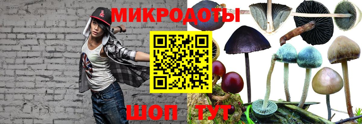 Галлюциногенные грибы прущие грибы Сергиев Посад